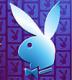images/avatars/avatar-539.jpg