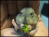 images/avatars/avatar-763.gif
